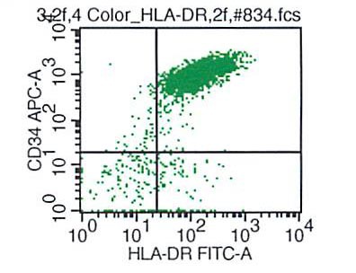 CD34 vs HLA-DR